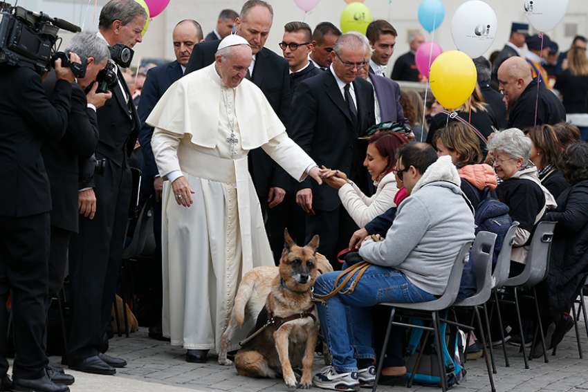Faith brings hope even at moment of death, pope says