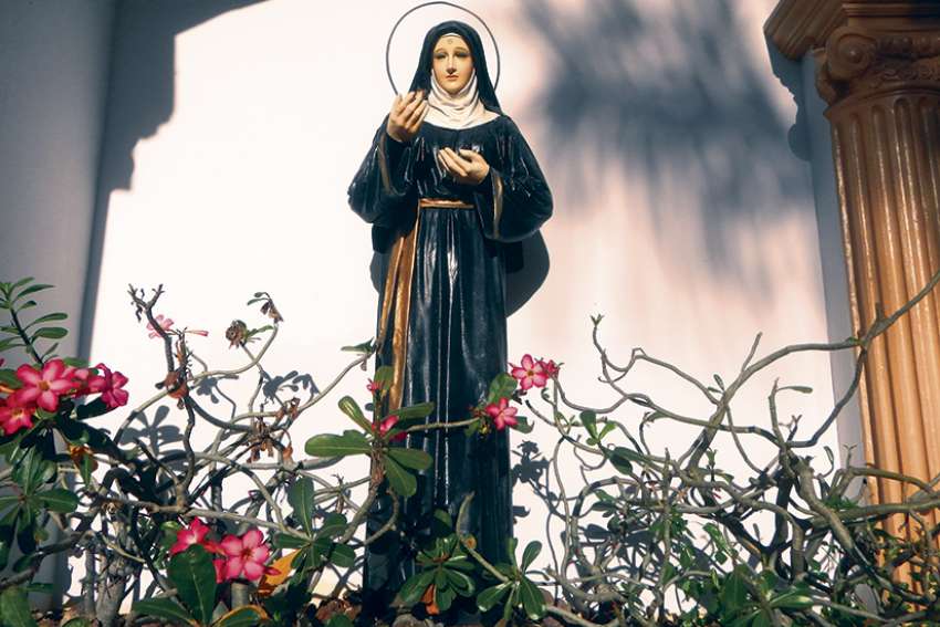 Mary Marrocco: Learning to speak the words within us