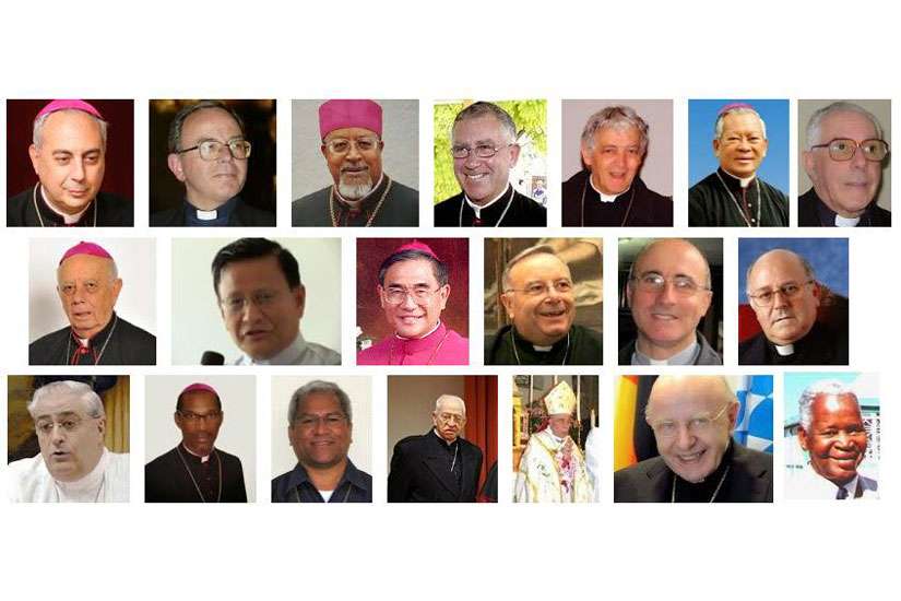 Pope Francis names 15 new cardinal electors, most from global south