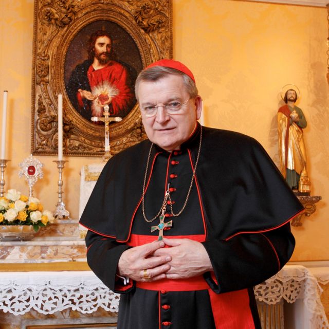 Head of Vatican court describes 'VatiLeaks' as 'most grave crimes' 