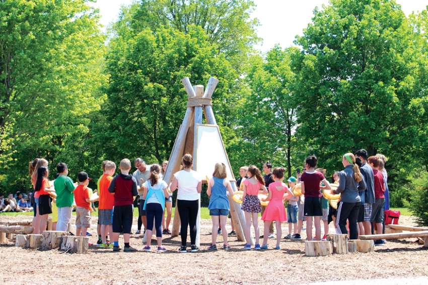 Schools planning for a shady future