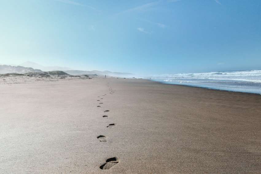 God's Word on Sunday: Fear not following Jesus, God’s will