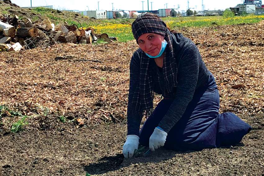 Carving out new land of dreams