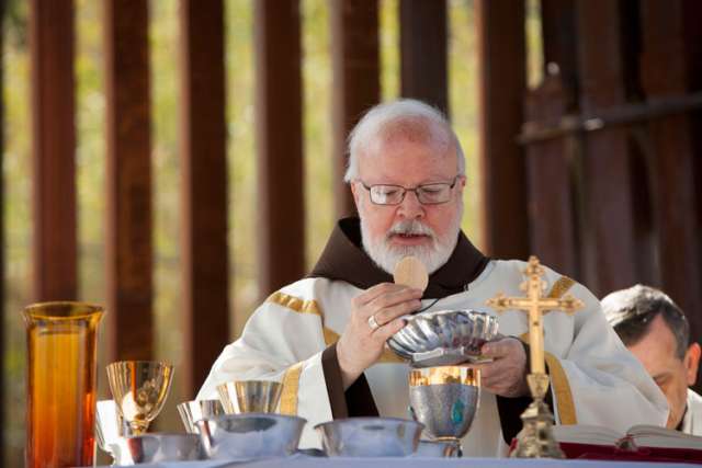 Victims demand action as Vatican abuse panel gets down to work