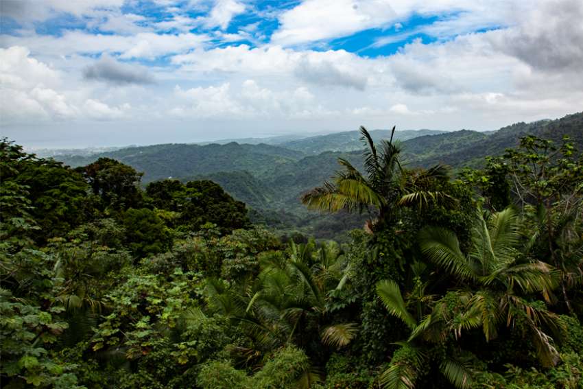 Faith organizations join forces for Earth’s sake