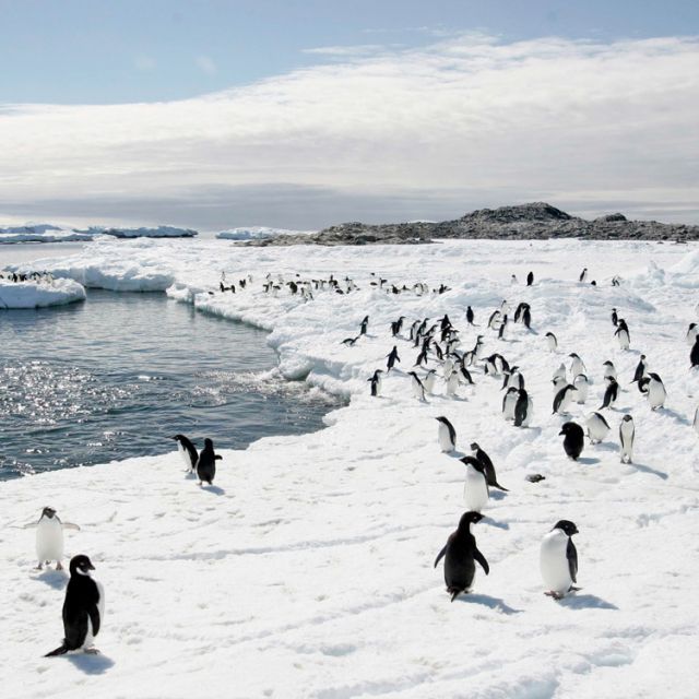 Religious leaders urge people to take stewardship message to Rio+20 