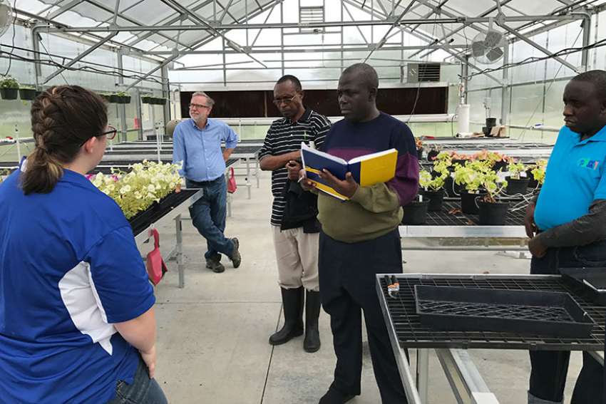 Young farmers in the U.S., Uganda learn to help each other