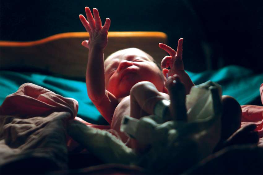 Church has role to play in debate over gene editing, says Catholic scientist