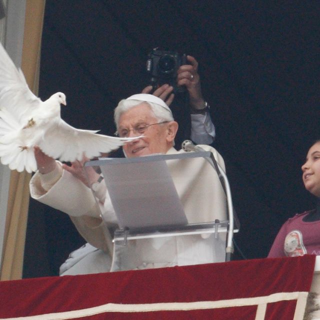 Pope prays for peace, watches dove fly back into his apartment 