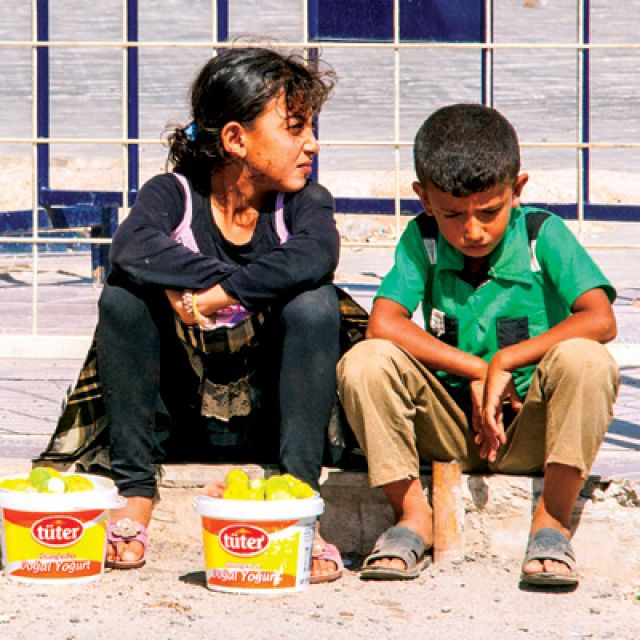 D&P directs $5.4 million to Syrian refugees