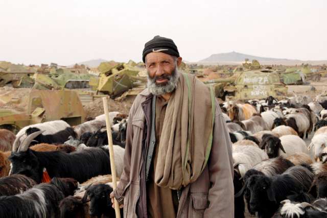 The shepherd always looks after His flock