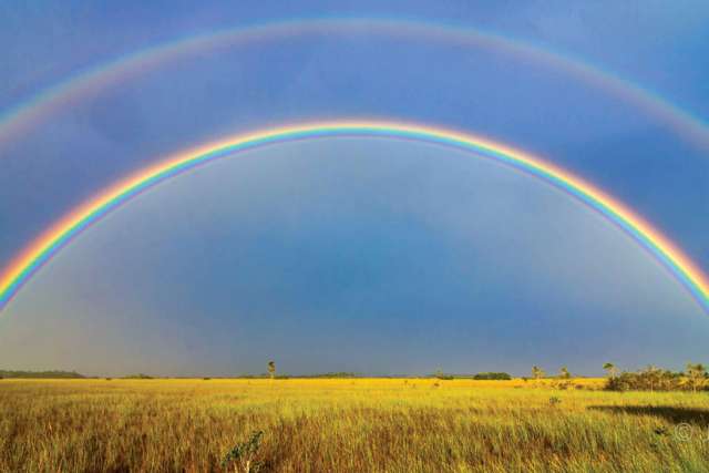 Over the rainbow is the King's Son