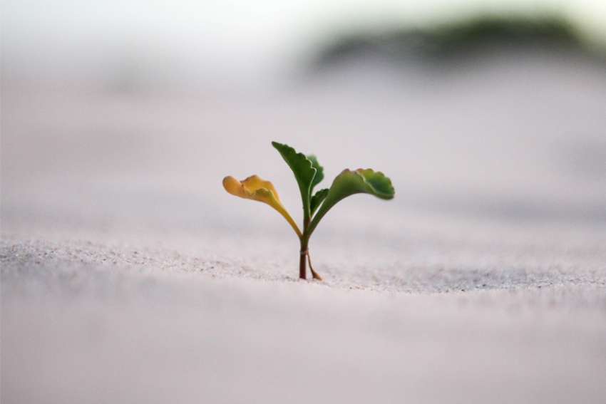 Leah Perrault: Interrupting patterns for spiritual growth