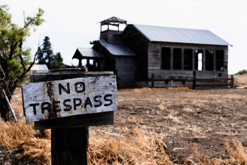 Mary Marrocco: Looking for signs on the periphery