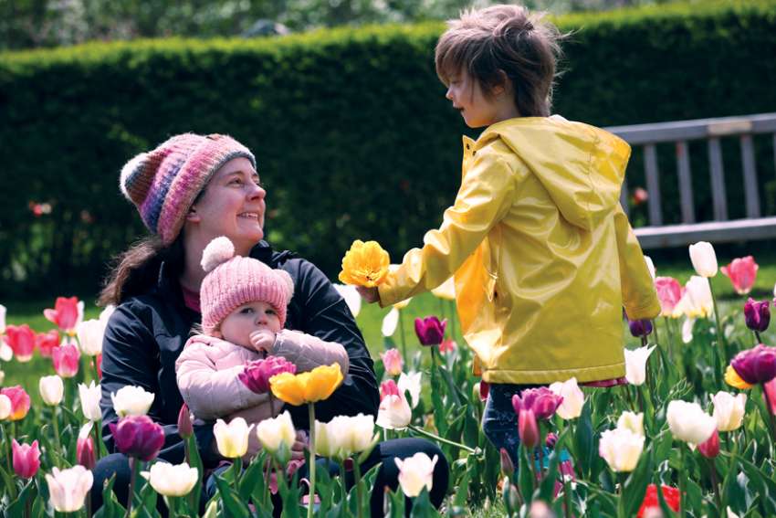 Kids are bridge between contrition, compassion