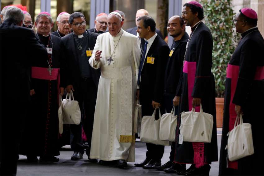 Amazon synod supports married priests for Amazon