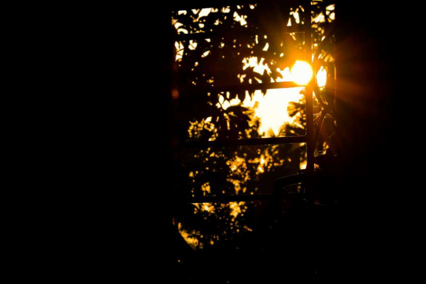 Robert Kinghorn: Finding light in frontline darkness