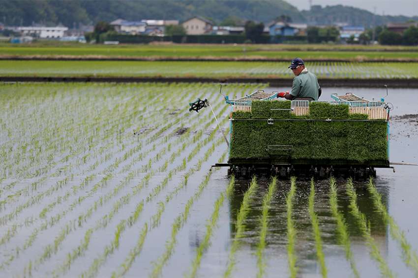 Health and climate change depend on the way food is produced, cooked, Vatican speakers say