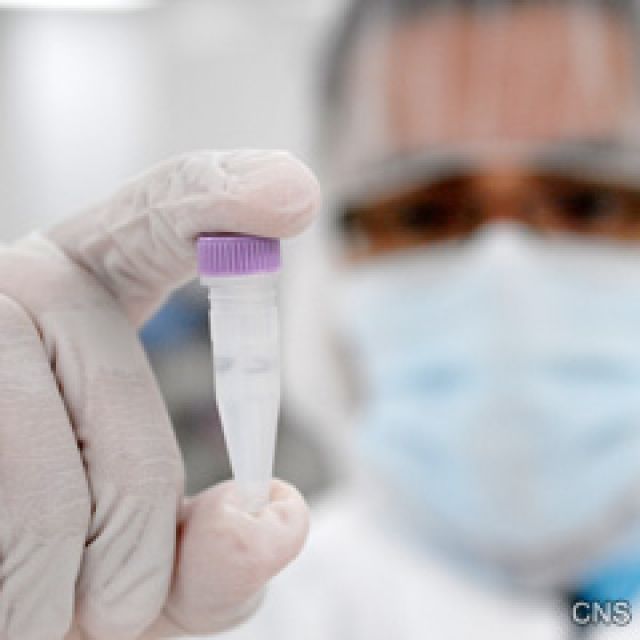 Organizers: Vatican congress on stem cells canceled for lack of funds 