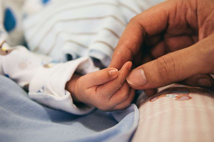 Brazil sees first livebirth after uterus transplant from deceased donor