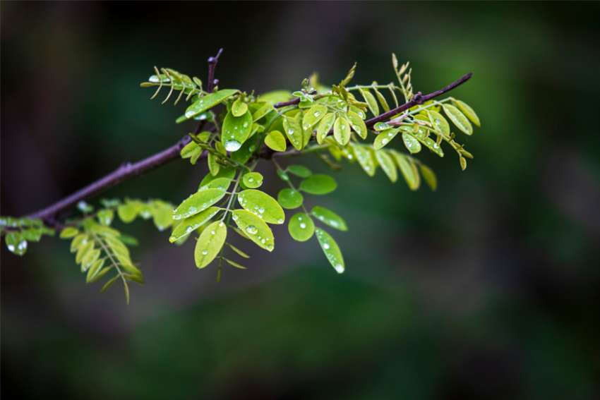 Ecology comes first, ‘no ifs, ands or buts’