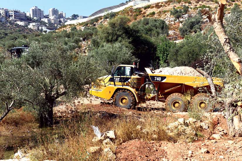 Harper called on to help find solution for Palestinan farmers cut off by security wall