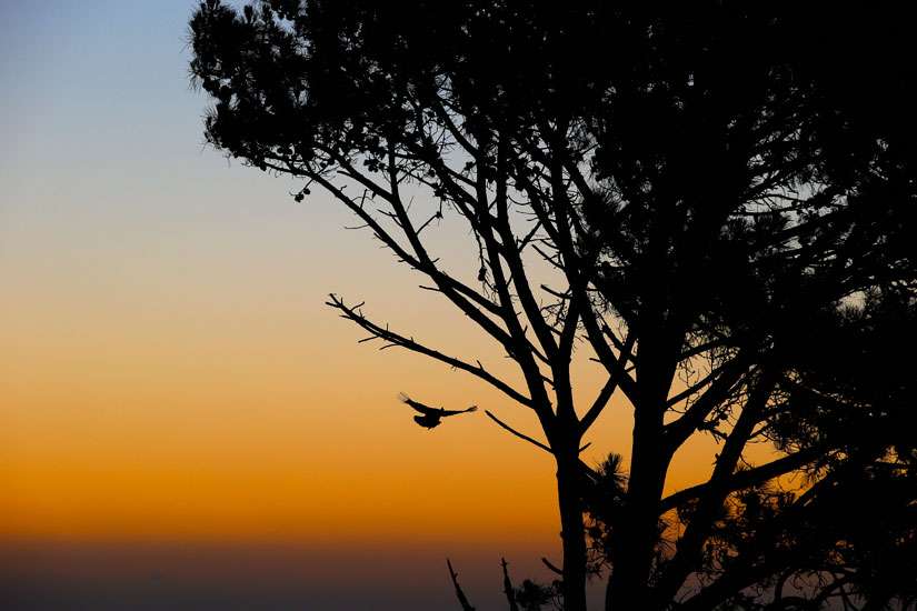 Africans seek climate accord that respects their concerns