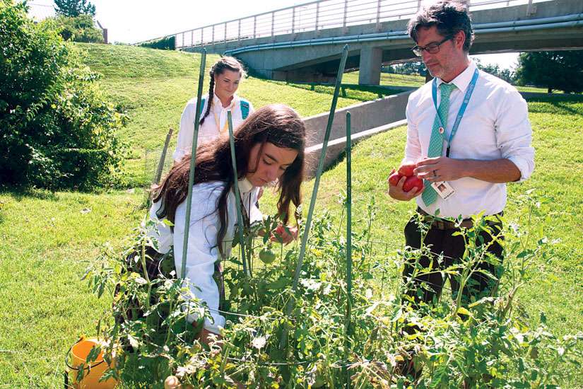 Laudato Si’ a challenge for Catholic schools
