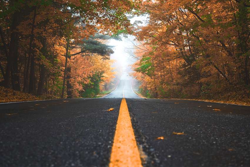 Barefoot and Preaching: Learning how to spend and save energy