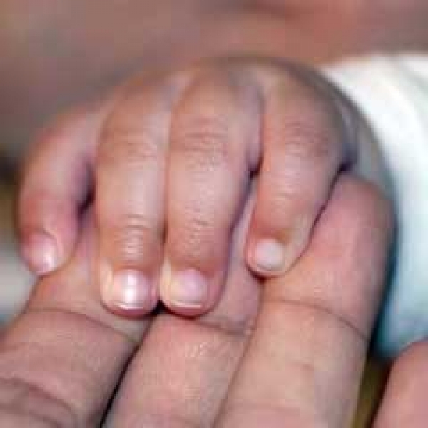 Slight rise in Canadian fertility rates