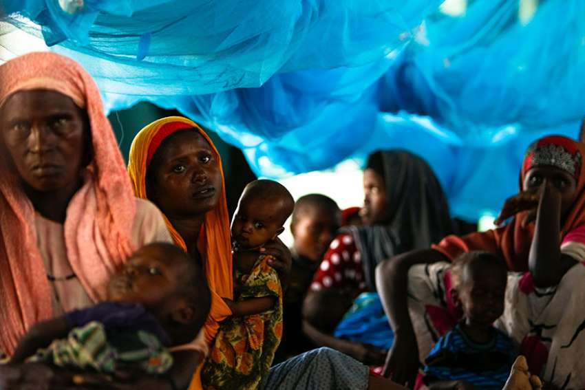 Catholic bishop says troubled Somali refugees still need acceptance, help