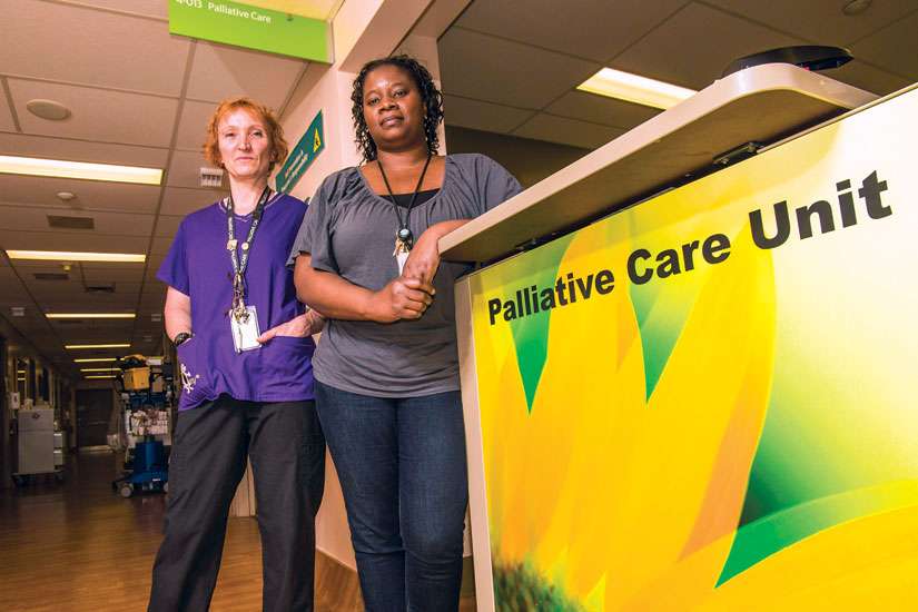 More investment needed in palliative care