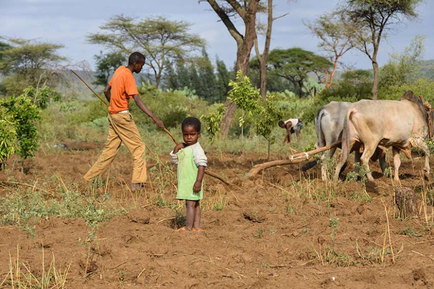 Some funding restored to Development and Peace as investigation continues
