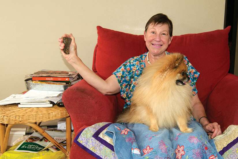 Cancer patients attribute cures to rocks from St. Michael's founding bishop's crypt