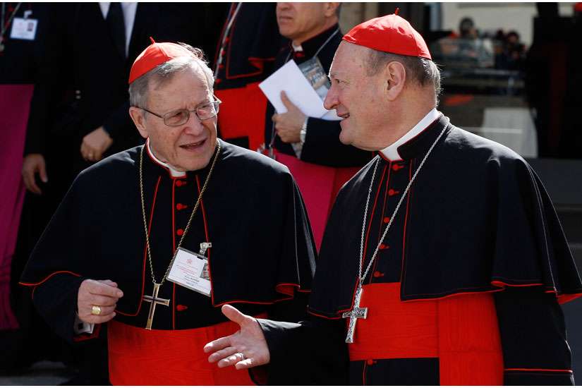Prayer, studying lived reality is key to pope's process, cardinal says