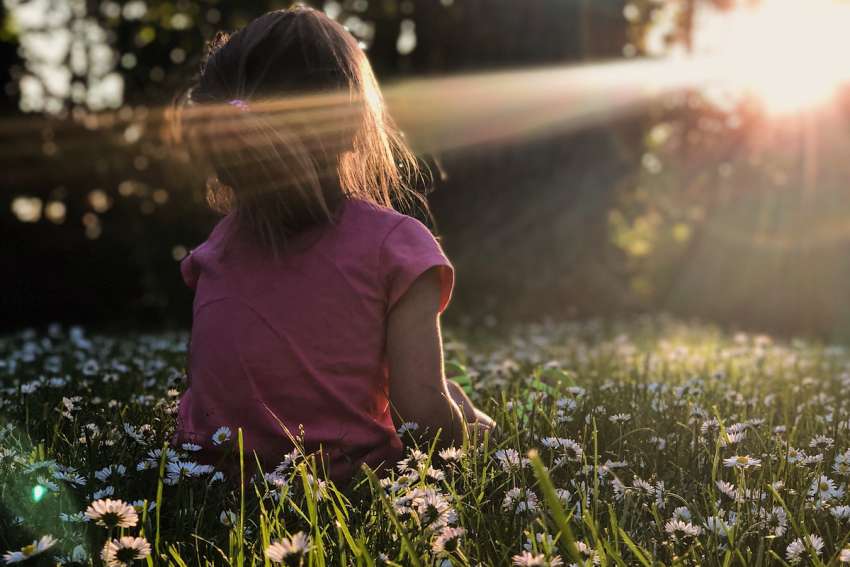 God's Word on Sunday: God’s voice is heard in the still silence