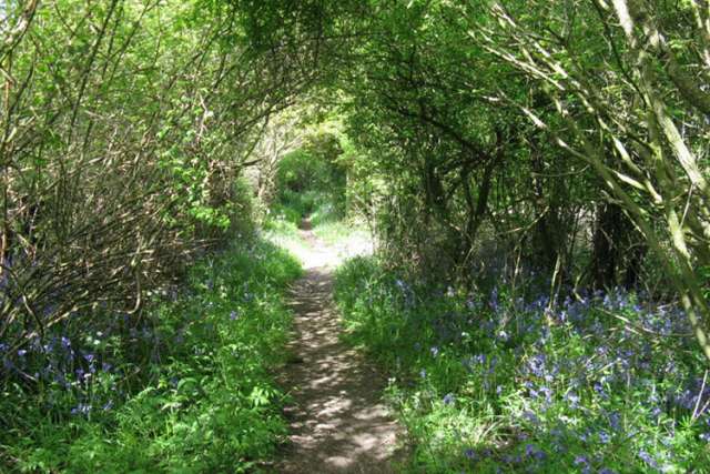 The right path is the just path