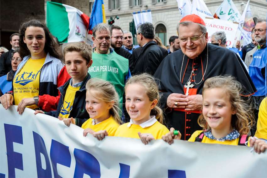 Cardinal Burke cuts ties with institute, citing its alignment with Bannon