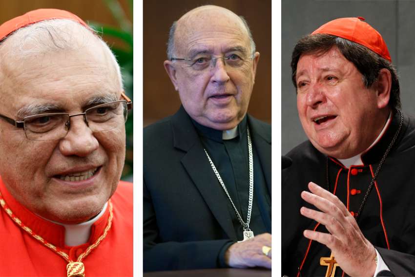 Pope Francis appoints three cardinals to lead Amazon synod