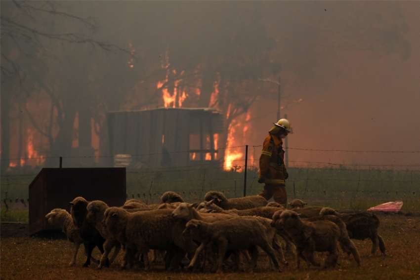 As bush fires continue to rage in Australia, local Catholics seek prayers