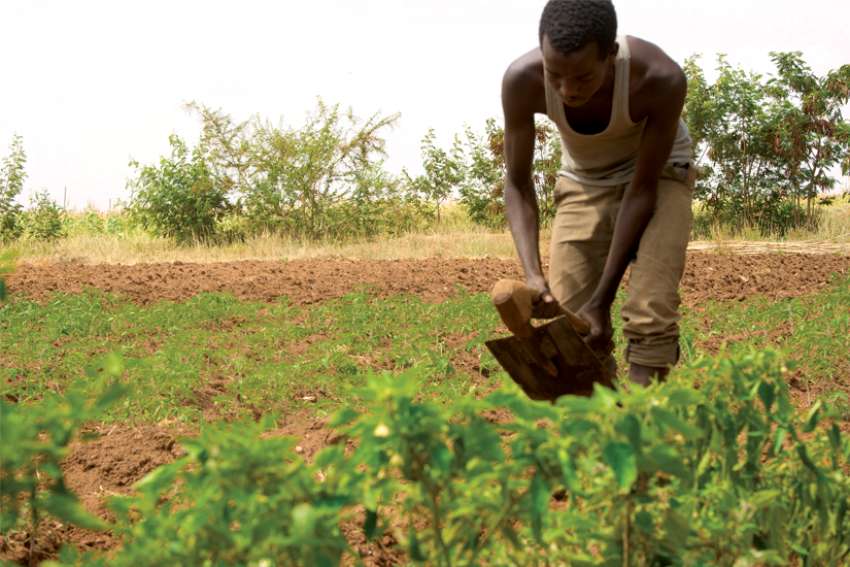 Famine fears growing amid COVID-19