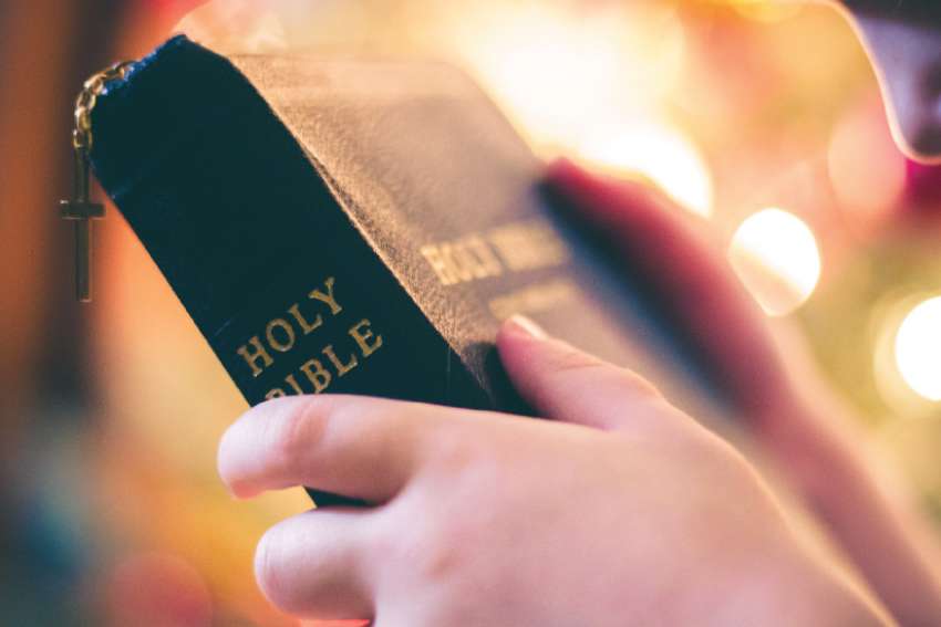 Charles Lewis: The Catholic writer has a burden of truth