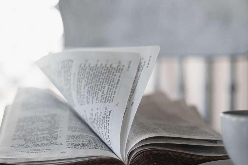 God's Word on Sunday: The good news is meant for all on Earth