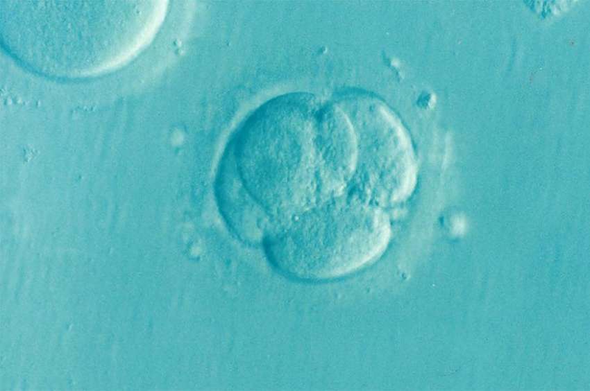 Ethicists warn of problems as U.S. scientists alter human embryo genes
