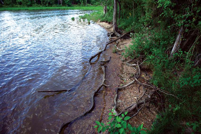 Weathering the storm through integral ecology