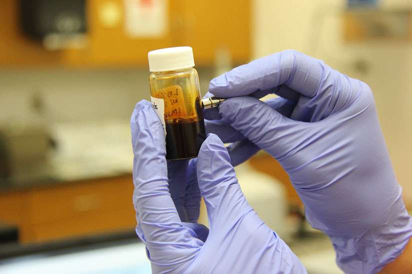 U.S. Bishops object to plan to fund part-human, part-animal embryo research