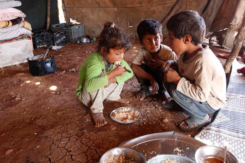 Feed the world