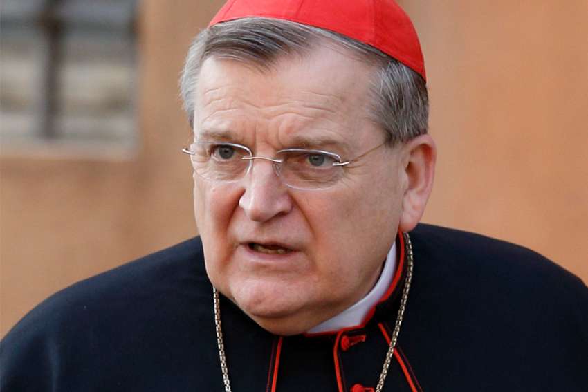 Burke and Brandmüller: Amazon synod challenges deposit of faith