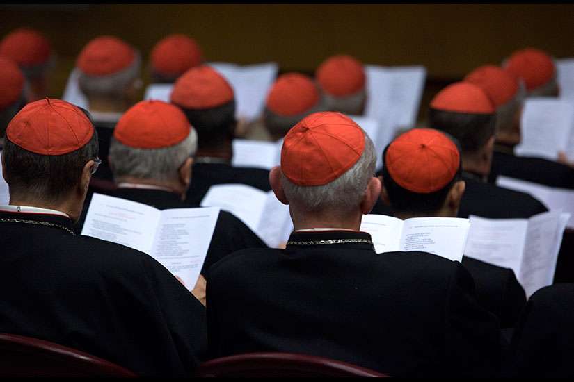 Synods should get more input from lay faithful, church experts say