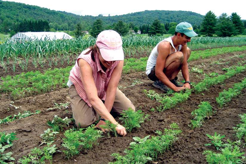 A year of living 'Laudato Si'